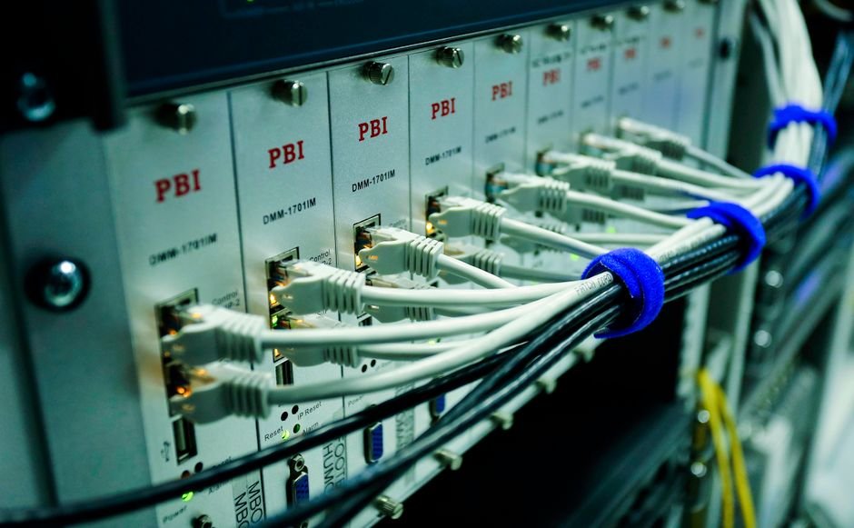 Ethernet cables patched into a network switch panel, representing the nginx reverse proxy layer sitting between the browser and ORDS